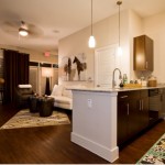 AMLI at Escena Apartment Model.
