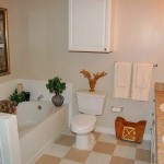 Bell Valley Ranch Apartment Bathroom