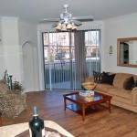 Bell Valley Ranch Apartment Living Room