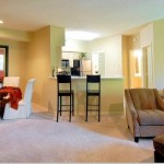 Jefferson Ridge Apartment Living Room