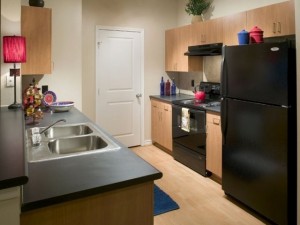 Mission at La Villita Apartment Kitchen