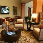Monterra Apartment Models