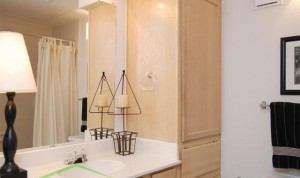 Oaks Hackberry Creek Apartment Bathroom