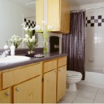 The Shores at Las Colinas Apartment Bathroom