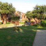 Shadows of Cottonwood Apartment Property Ground