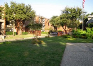 Shadows of Cottonwood Apartment Property Ground