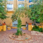 The Shores at Las Colinas Apartment View